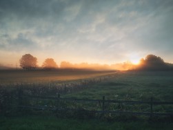 iStock-512153088